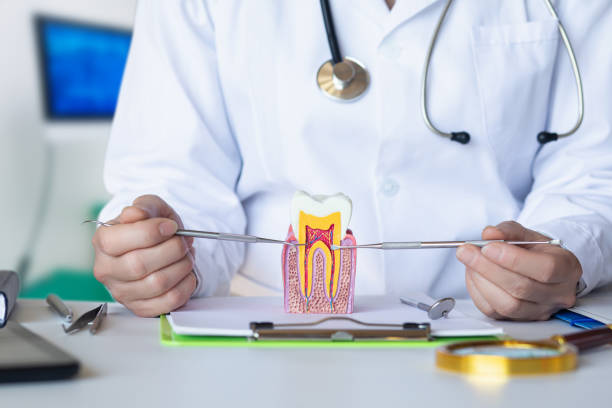 Best Cosmetic Emergency Dentistry in Boley, OK